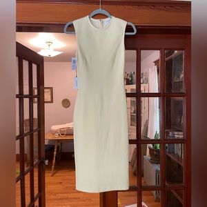 Aritzia Babaton Pencil Dress
